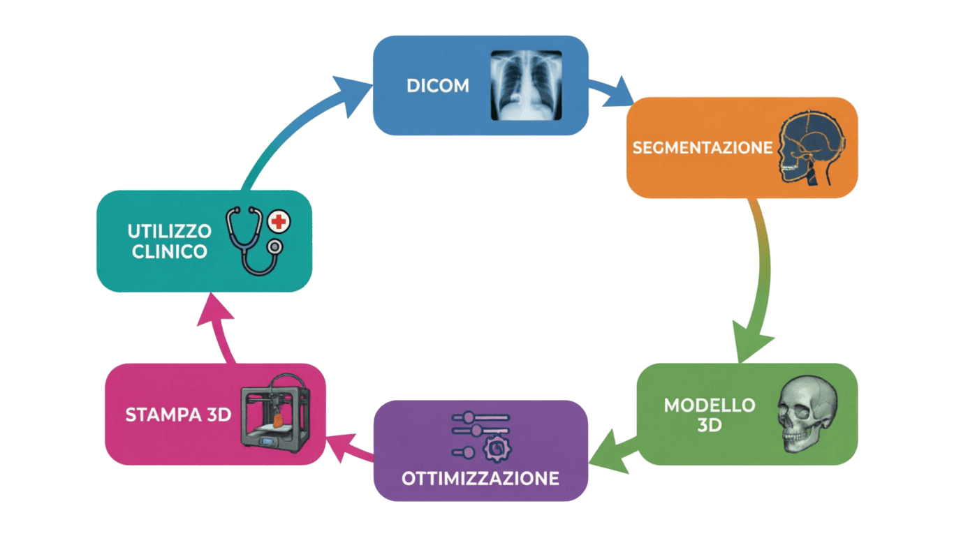 Percorso formativo AIMED3D: DICOM, Segmentazione, Modello 3D, Ottimizzazione, Stampa 3D, Utilizzo Clinico