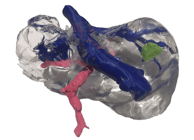 Medical Traslucido per stampa Material Jetting